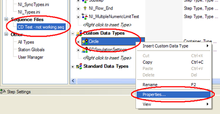 Custom Data Type